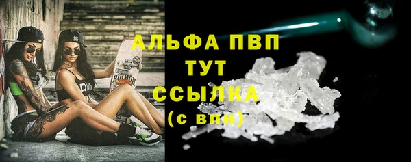 spice Елизово