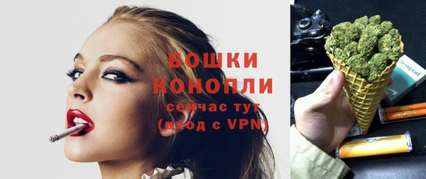 ПСИЛОЦИБИНОВЫЕ ГРИБЫ Ельня