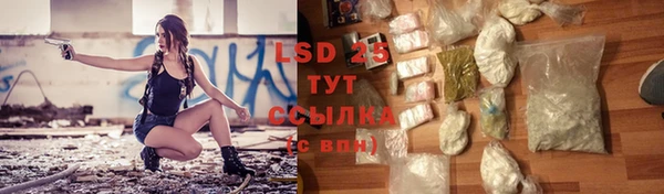 ПСИЛОЦИБИНОВЫЕ ГРИБЫ Ельня