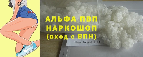spice Елизово