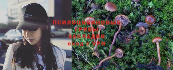 ПСИЛОЦИБИНОВЫЕ ГРИБЫ Ельня