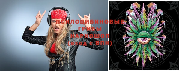 spice Елизово