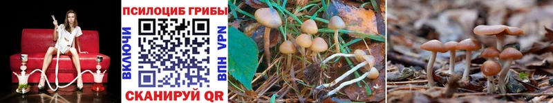 Псилоцибиновые грибы MAGIC MUSHROOMS  цены   сайты даркнета формула  Кисловодск 